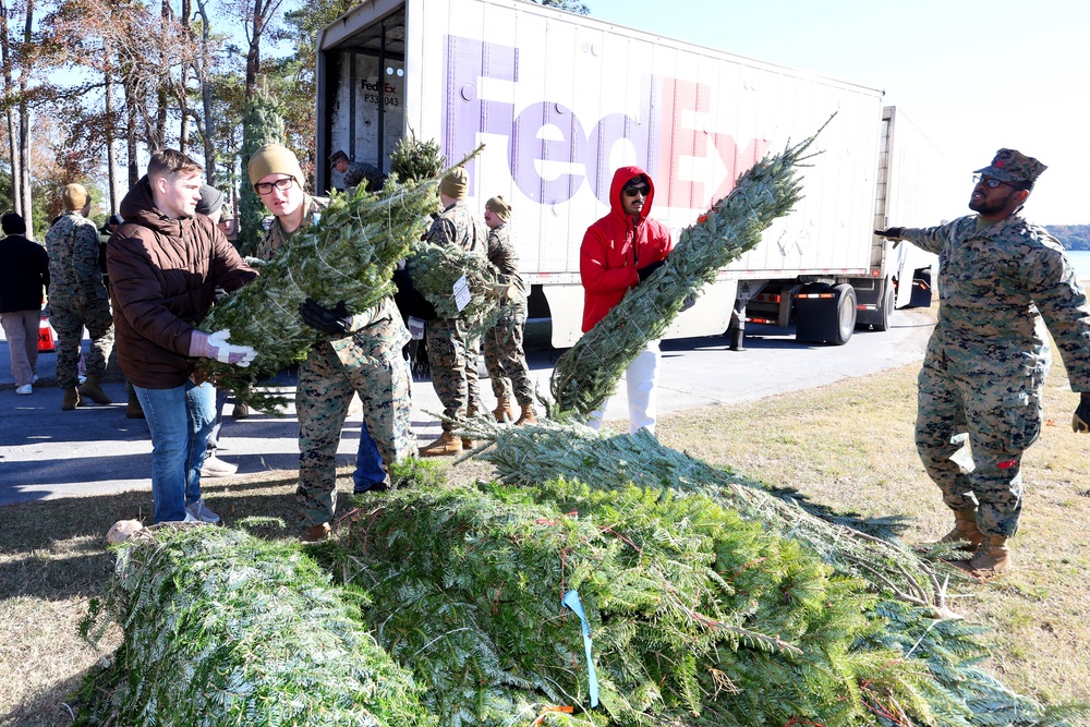 Trees for Troops