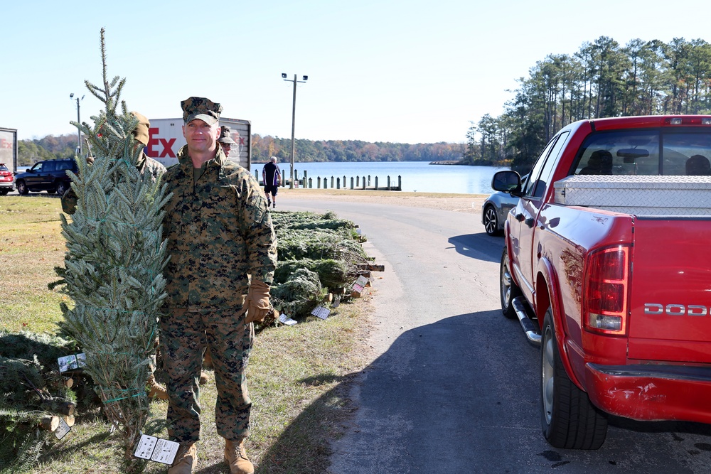 Trees for Troops