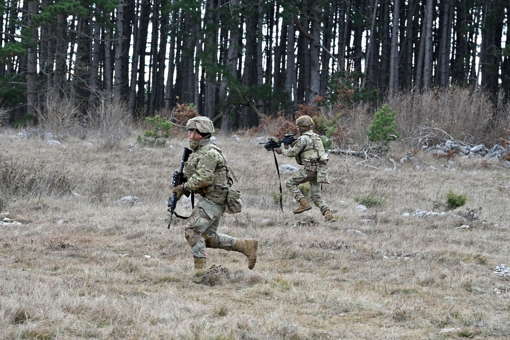 BAYONET IV EXERCISE