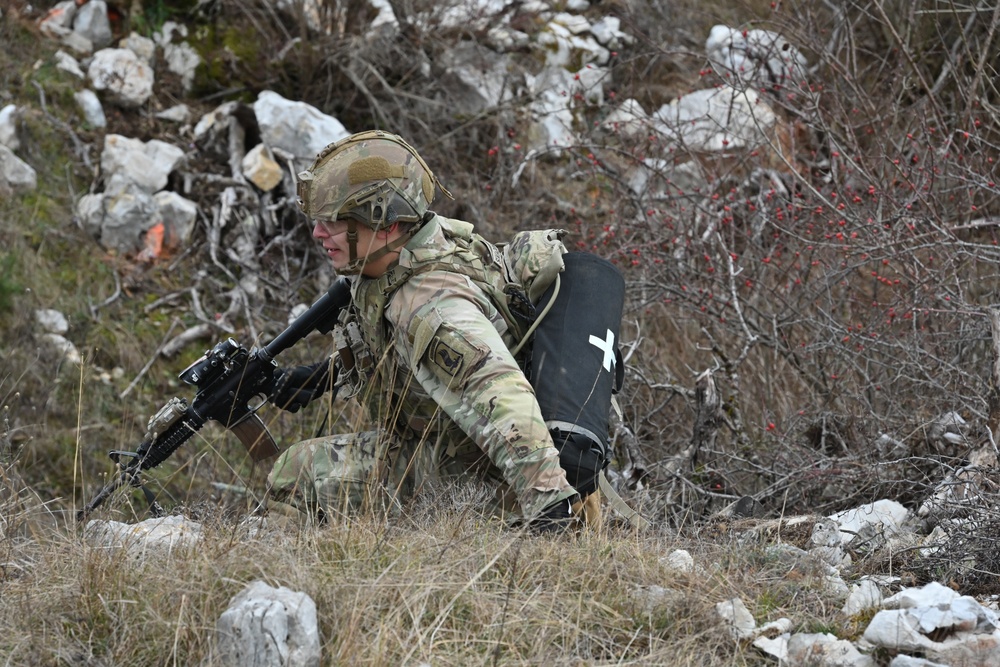 BAYONET IV EXERCISE