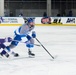 USAFA Hockey vs Niagara University