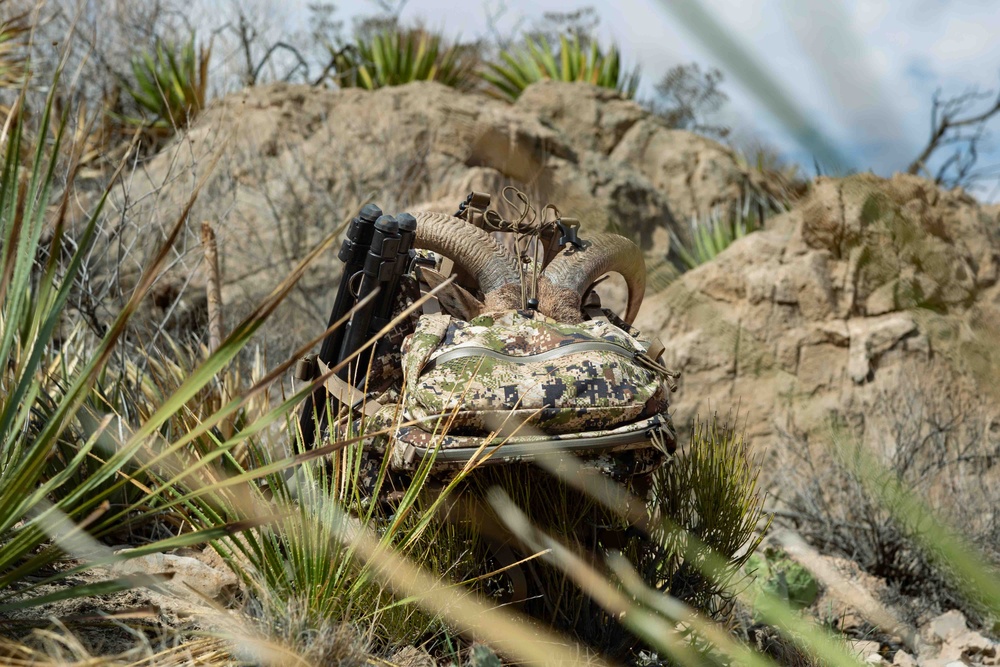 U.S. Army Veteran hunts on Fort Bliss