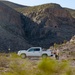 U.S. Fish and Wildlife biologist collect data on Fort Bliss