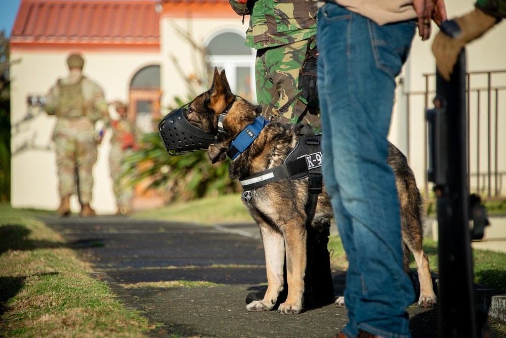 Lajes Field Demonstrates Readiness During Operation Varsity 24-3