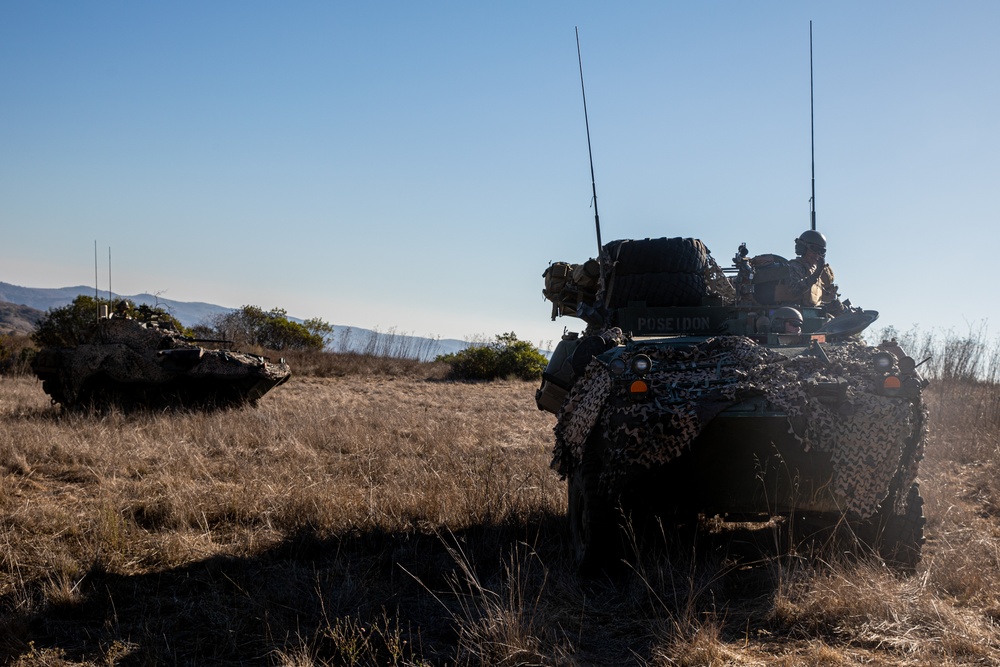 3rd LAR conducts reconnaissance operations during Steel Knight