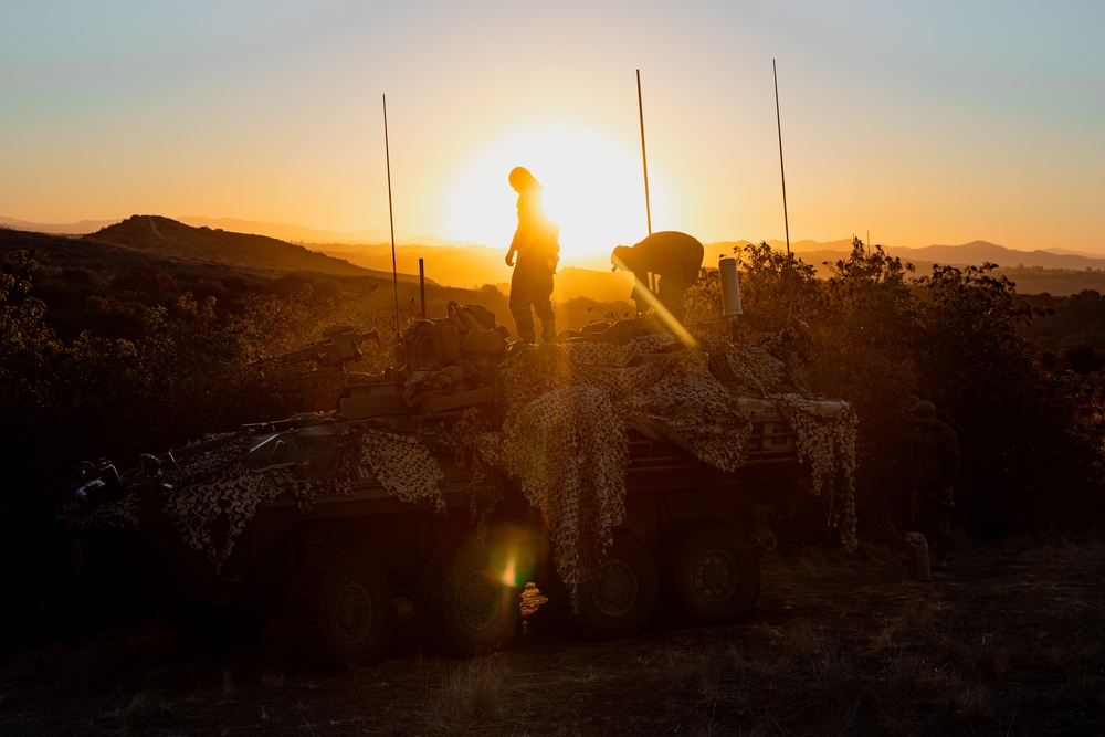 3rd LAR conducts reconnaissance operations during Steel Knight