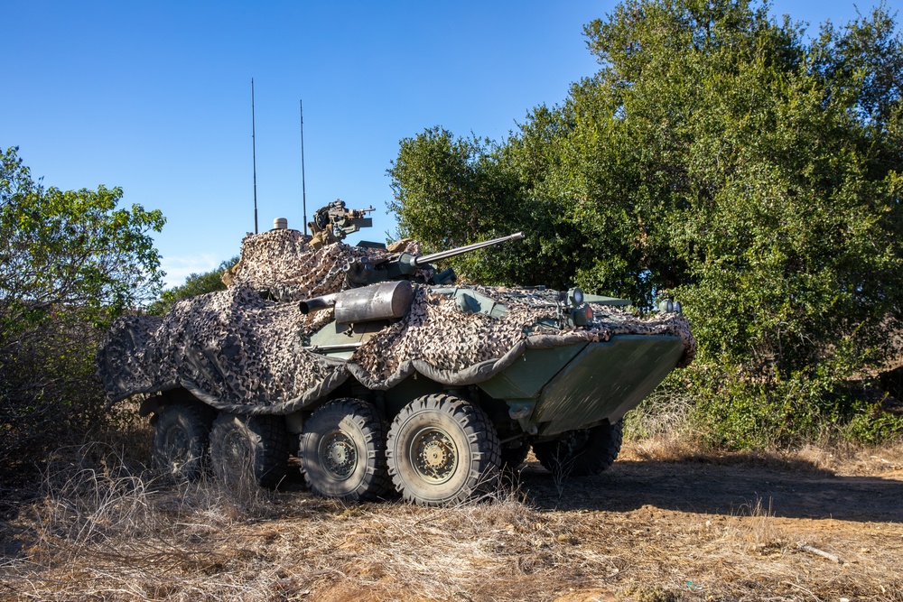 3rd LAR conducts reconnaissance operations during Steel Knight