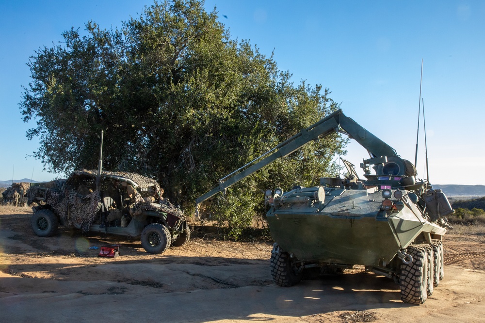 3rd LAR conducts reconnaissance operations during Steel Knight