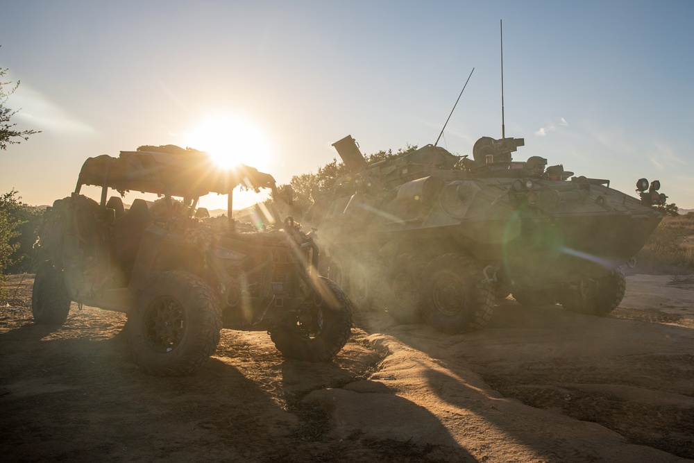 3rd LAR conducts reconnaissance operations during Steel Knight