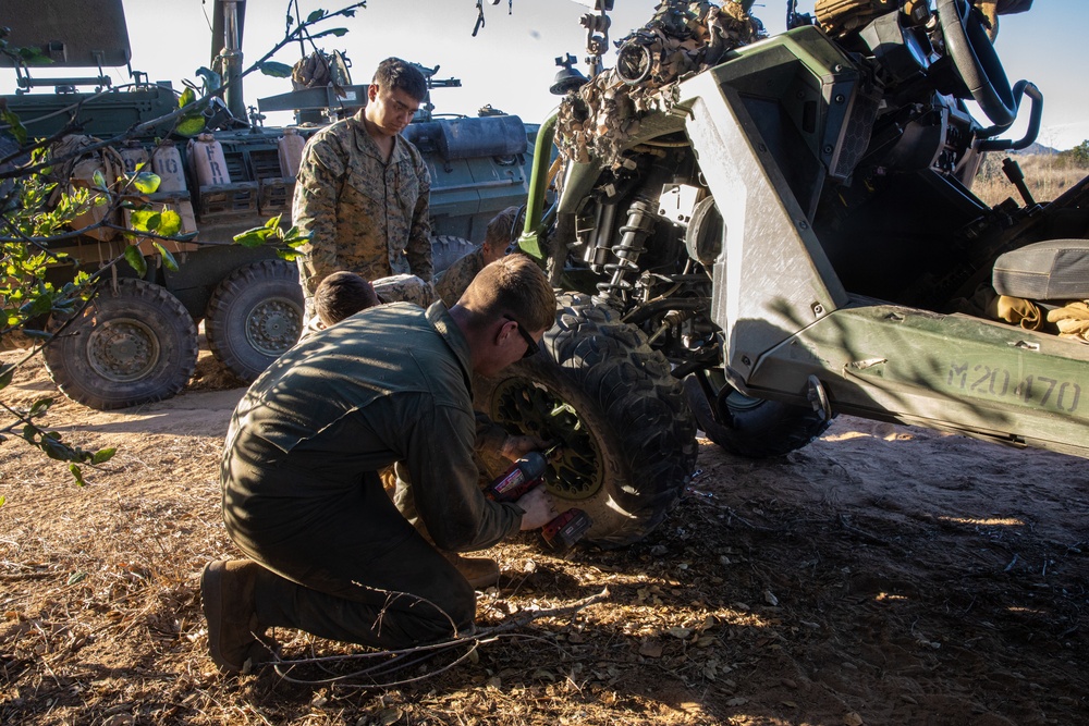 3rd LAR conducts reconnaissance operations during Steel Knight