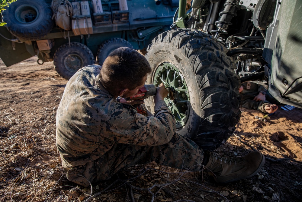 3rd LAR conducts reconnaissance operations during Steel Knight