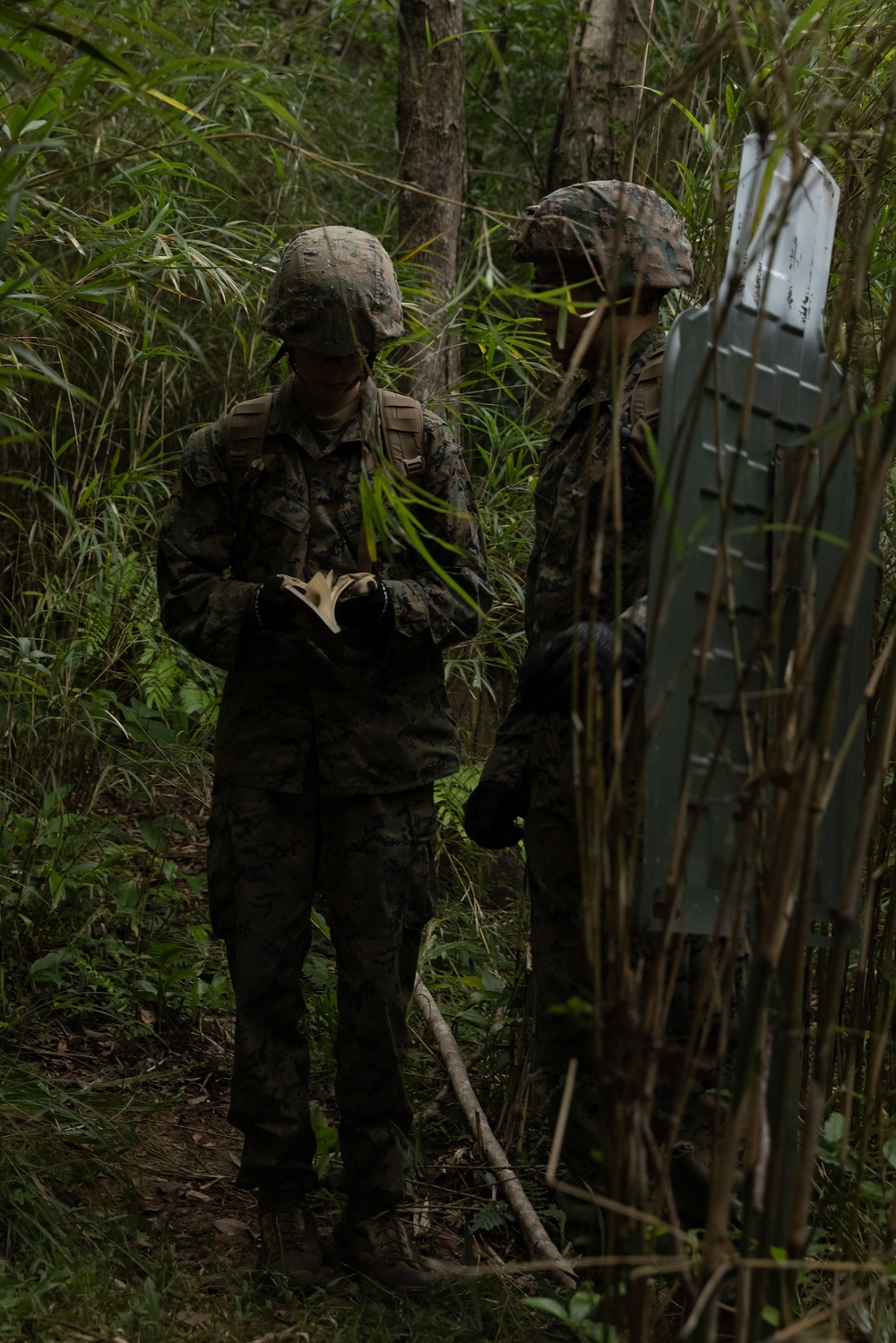 12th MLR Participates in a Land Navigation Training