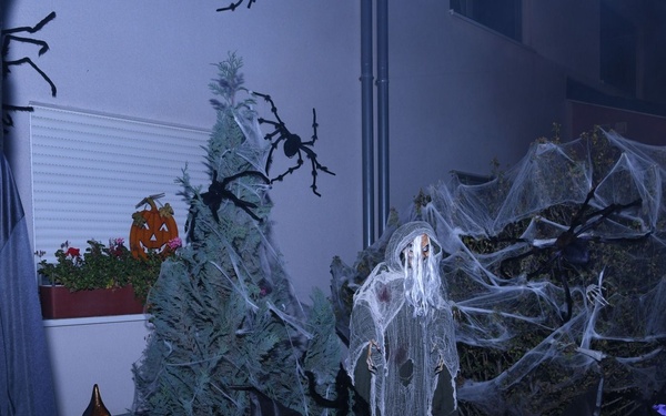 Tricks and Treats in the community