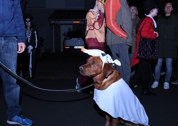 Tricks and Treats in the community