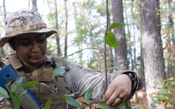 Field Medical Training Battalion - East conducts final training exercise