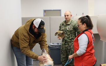 The American Red Cross Therapy Dogs Bring Joy to SUPSHIP Newport News