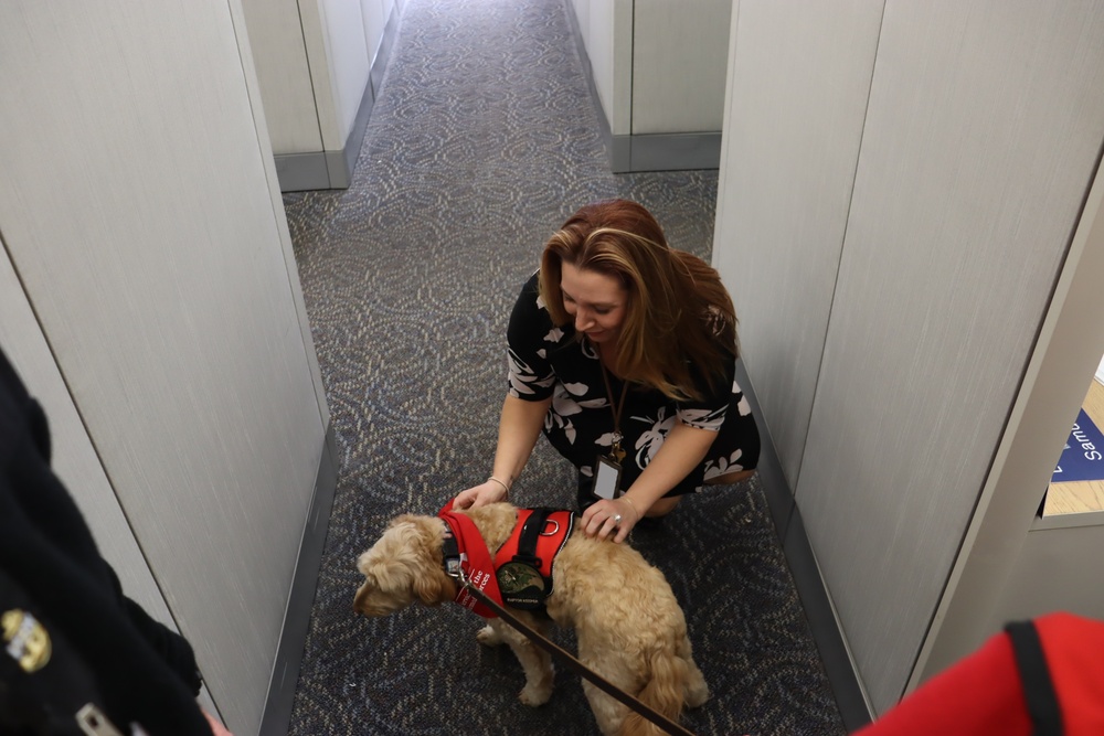 The American Red Cross Therapy Dogs Bring Joy to SUPSHIP Newport News