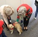 The American Red Cross Therapy Dogs Bring Joy to SUPSHIP Newport News