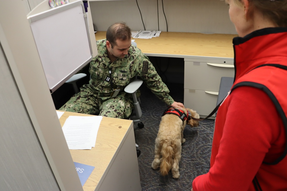 The American Red Cross Therapy Dogs Bring Joy to SUPSHIP Newport News