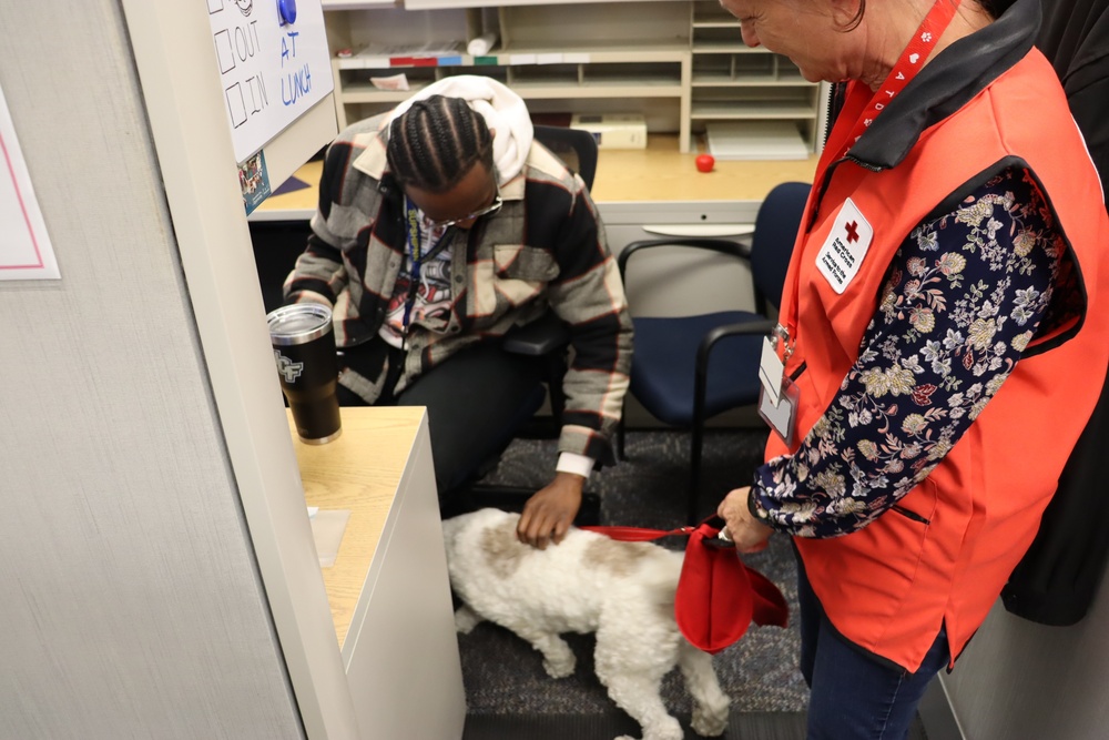 The American Red Cross Therapy Dogs Bring Joy to SUPSHIP Newport News