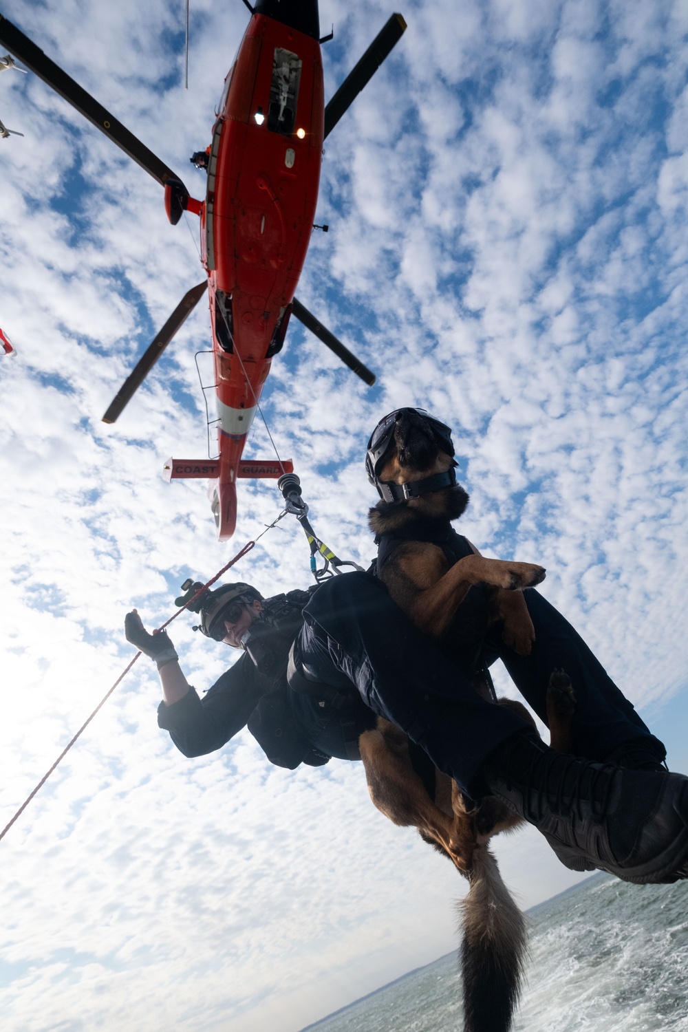 K-9 vertical delivery training