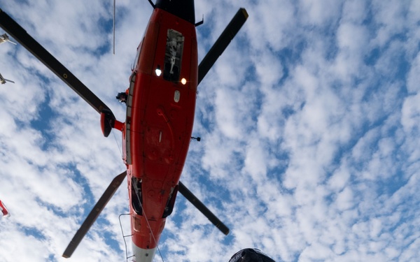 K-9 vertical delivery training