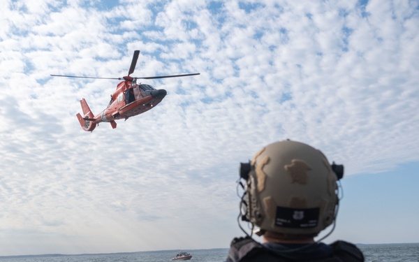 K-9 vertical delivery training