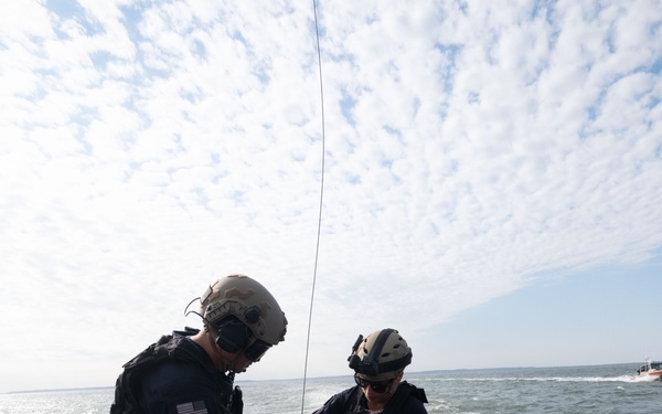 K-9 vertical delivery training