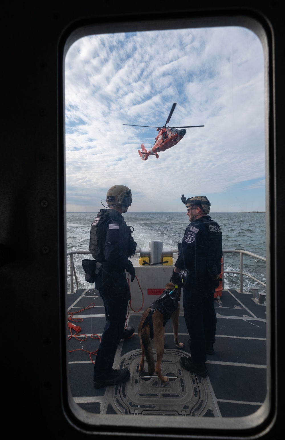 K-9 vertical delivery training