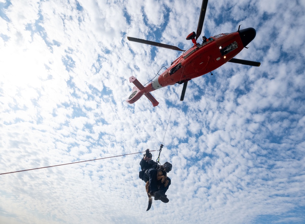 K-9 vertical delivery training