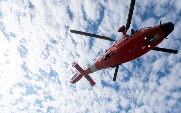 K-9 vertical delivery training