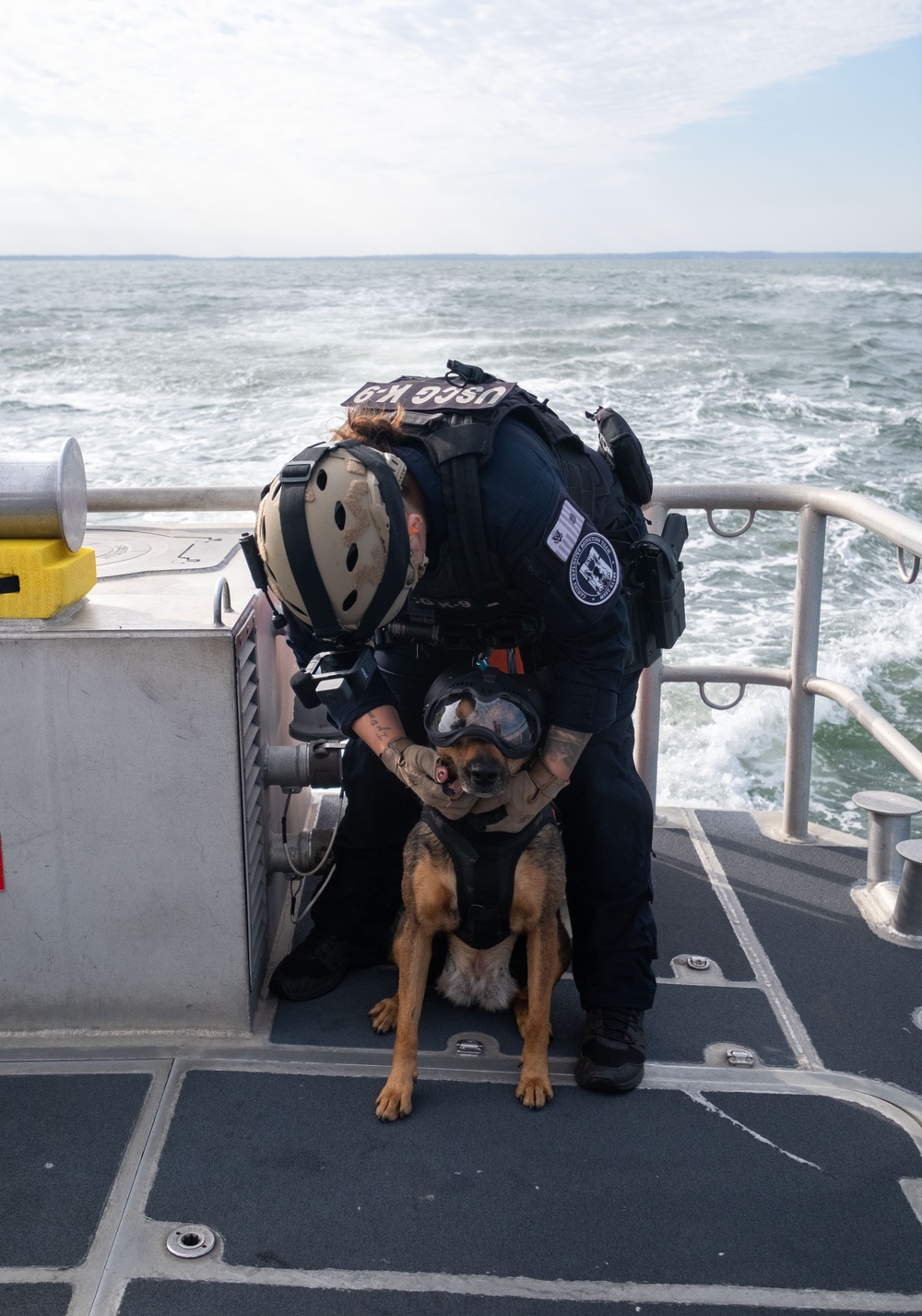 K-9 vertical delivery training