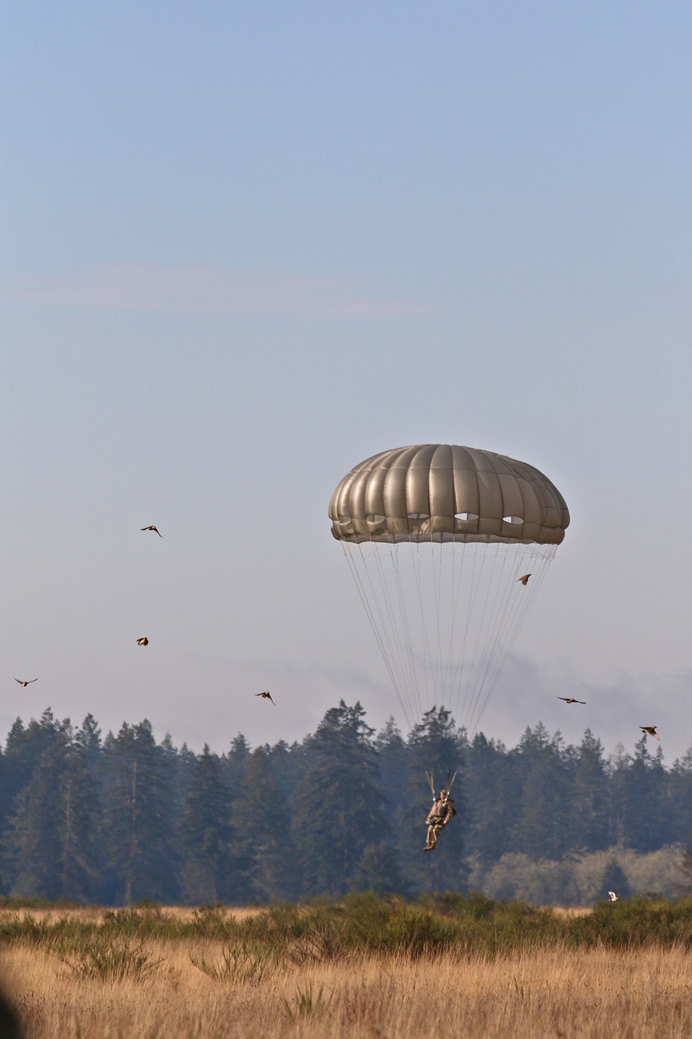 593d Jumps with Joint Special Forces for Menton Day