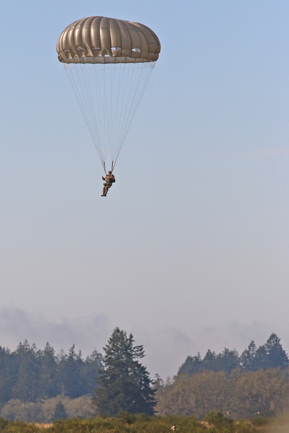 593d Jumps with Joint Special Forces for Menton Day