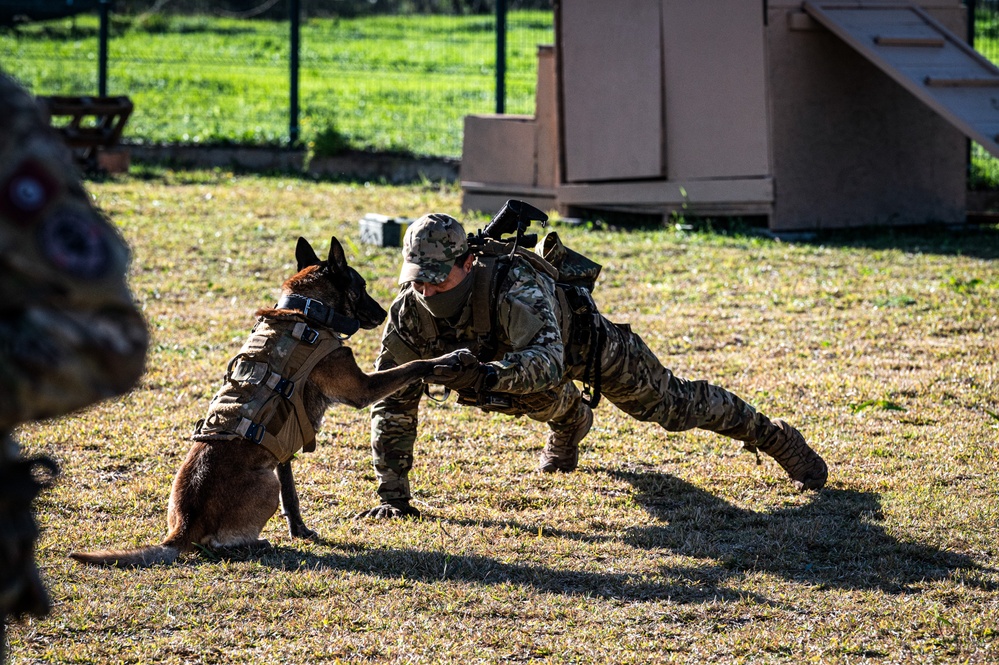 SOCAF and Tunisian partners co-host Silent Warrior 2024 in Africa