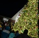 Col. Deedrick Reese, Robins Installation and 78th Air Base Wing commander, along with Team Robins children, illuminate the base Christmas tree.