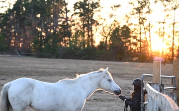 Horses: From Historical Battlefields to Healing Invisible Wounds