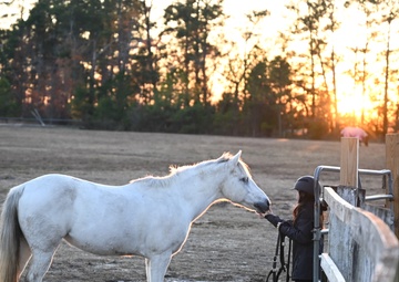 Horses: From Historical Battlefields to Healing Invisible Wounds