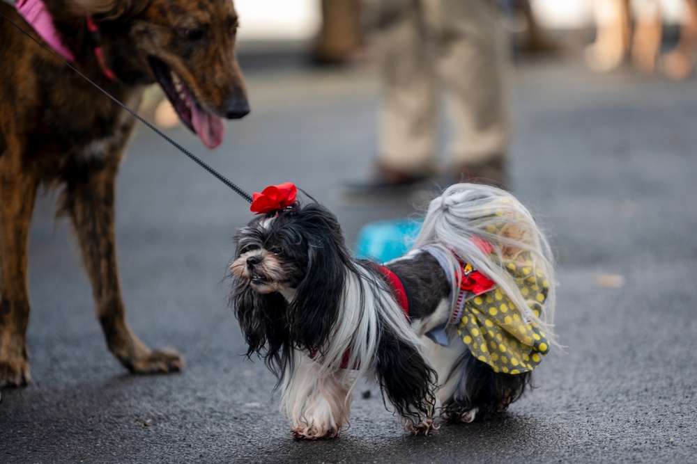 Coffee and Pups Event