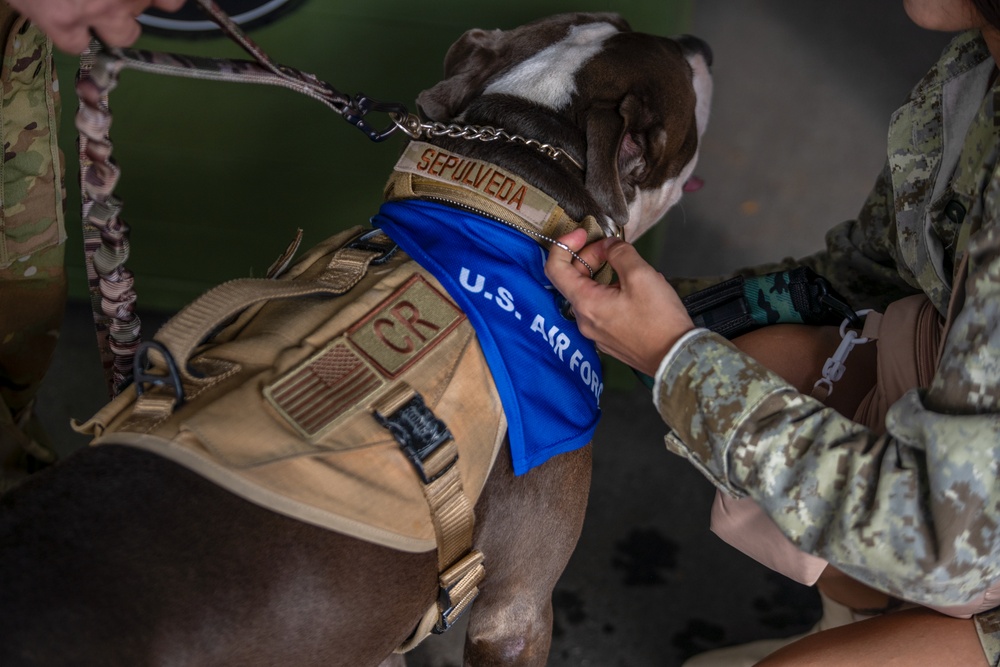 Coffee and Pups Event