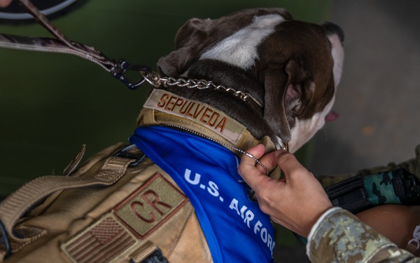 Coffee and Pups Event