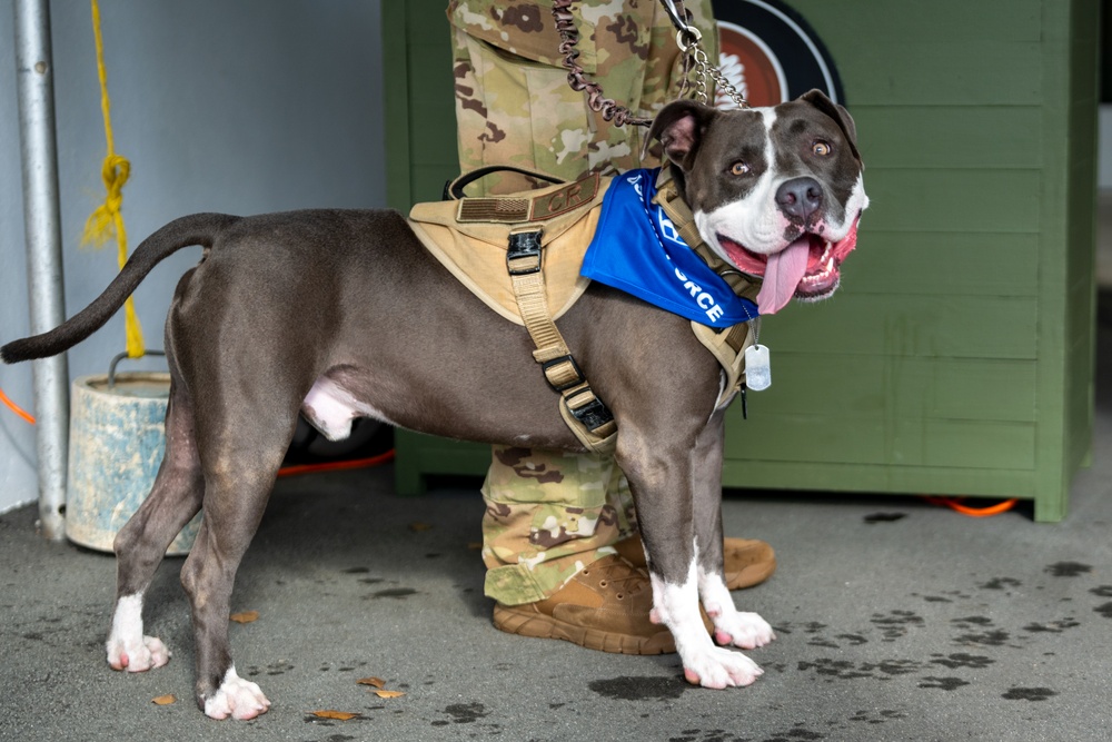 Coffee and Pups Event