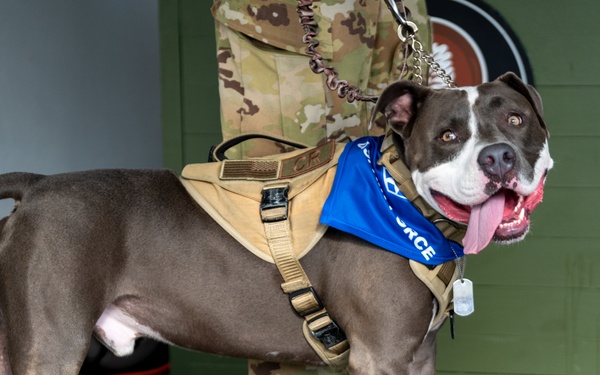 Coffee and Pups Event