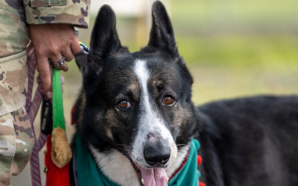 Coffee and Pups Event