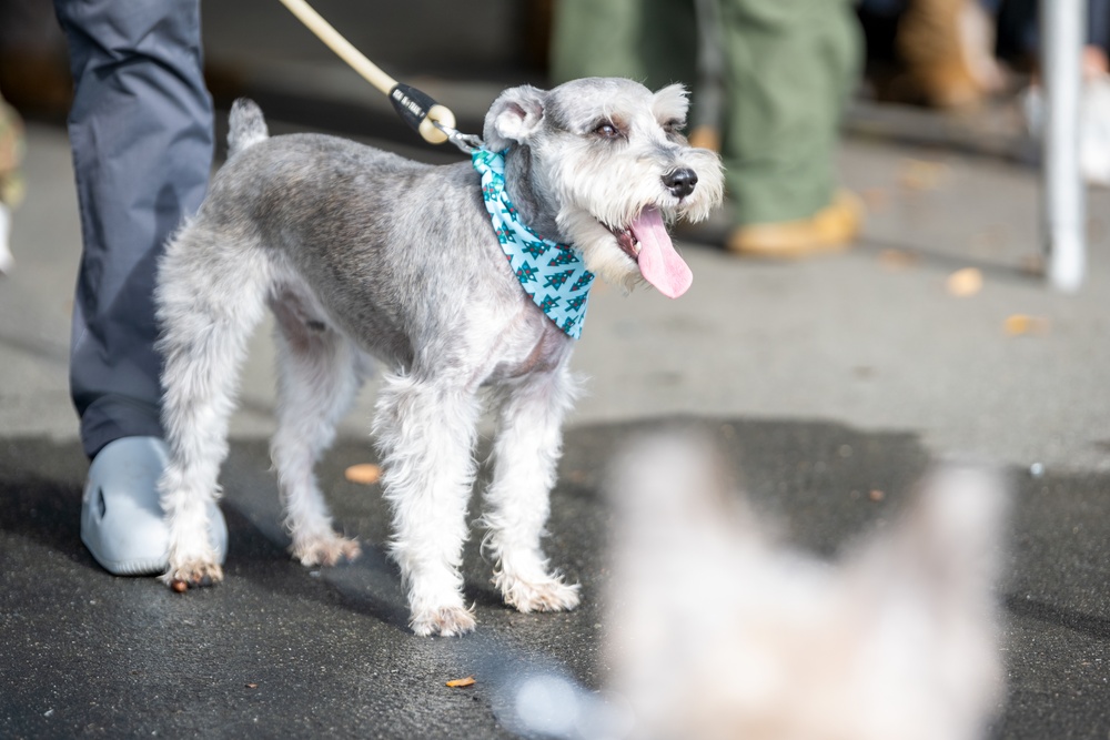 Coffee and Pups Event