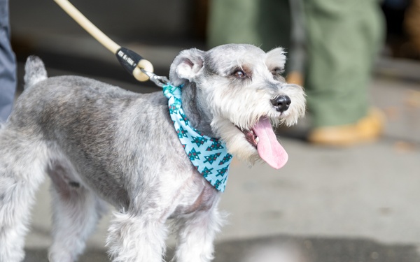 Coffee and Pups Event