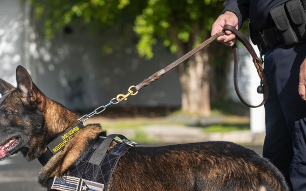 Coffee and Pups Event