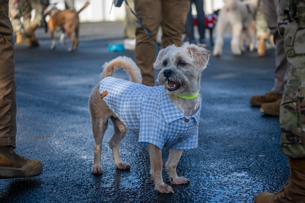 Coffee and Pups Event