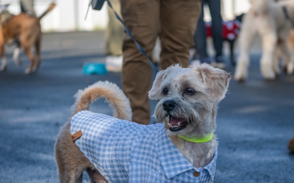 Coffee and Pups Event