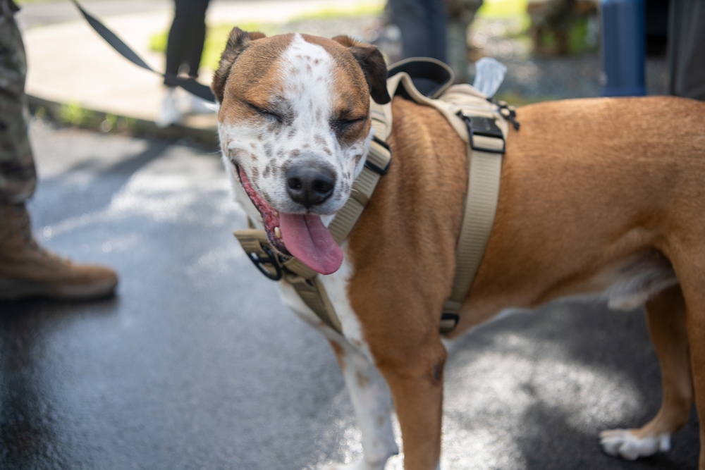 Coffee and Pups Event